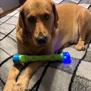 Meet your Posher, Maria